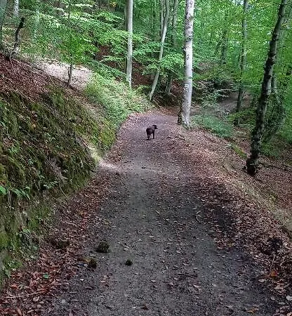 公寓 Kaszuby Punkt Klonowo Sauna Klima Basen