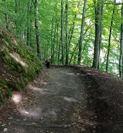 Kaszuby Punkt Klonowo Sauna Klima Basen 普日维兹