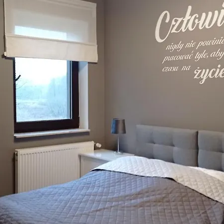 Kaszuby Punkt Klonowo Sauna Klima Basen Przywidz (Gdansk)