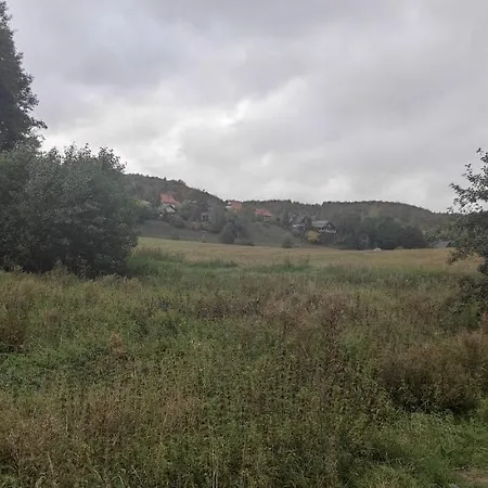 Kaszuby Punkt Klonowo Sauna Klima Basen プシビツ