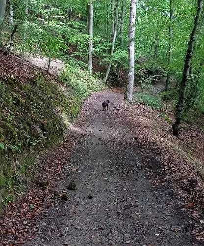Lägenhet Kaszuby Punkt Klonowo Sauna Klima Basen