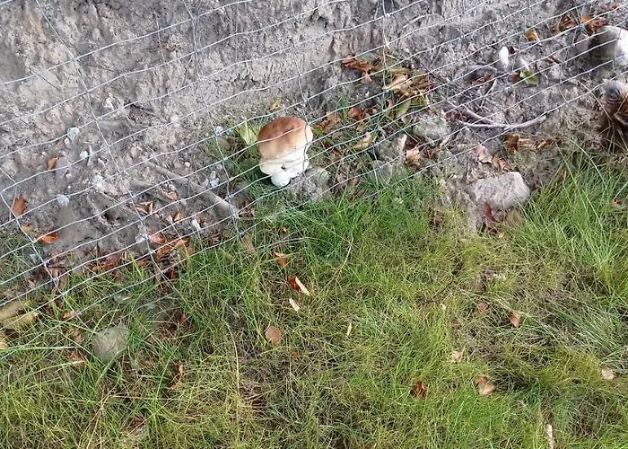 Kaszuby Punkt Klonowo Sauna Klima Basen Lägenhet