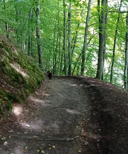 Kaszuby Punkt Klonowo Sauna Klima Basen Przywidz (Gdansk)