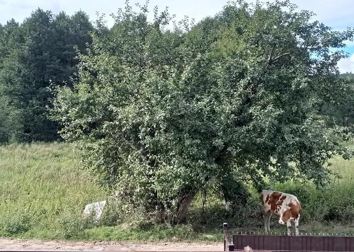 Kaszuby Punkt Klonowo Sauna Klima Basen Lägenhet Przywidz (Gdansk)