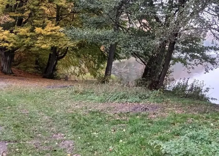 Lägenhet Kaszuby Punkt Klonowo Sauna Klima Basen *